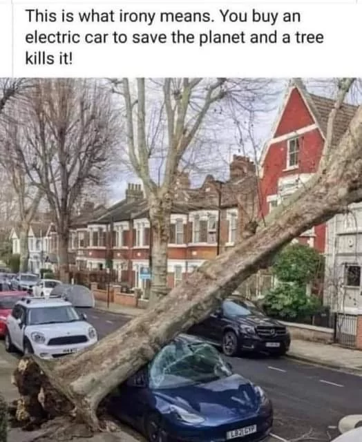 FB_IMG_1646594890966.jpg