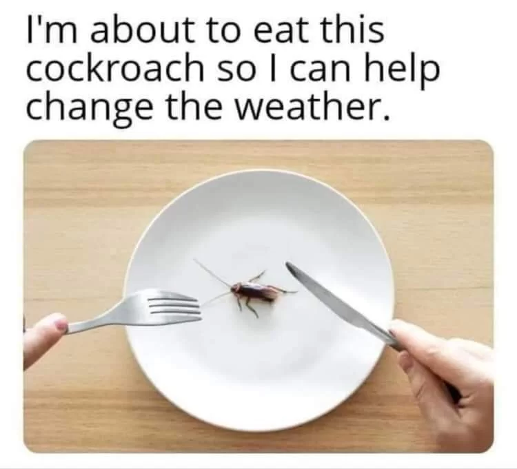 FB_IMG_1676696490094.webp