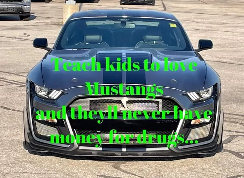 FB_IMG_1677207777449.webp