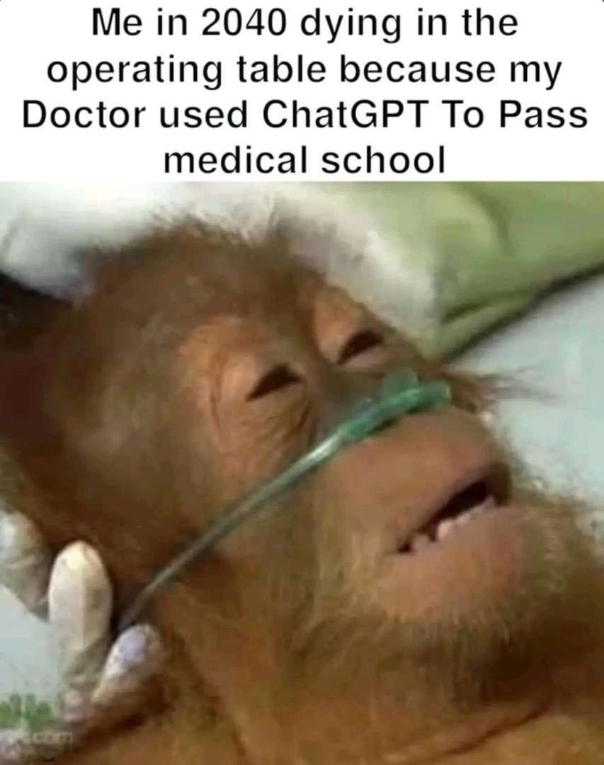FB_IMG_1678613649397.jpg