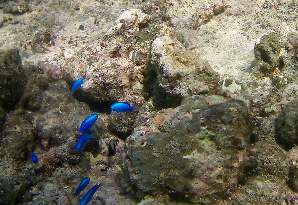 FHD0045 2.JPG