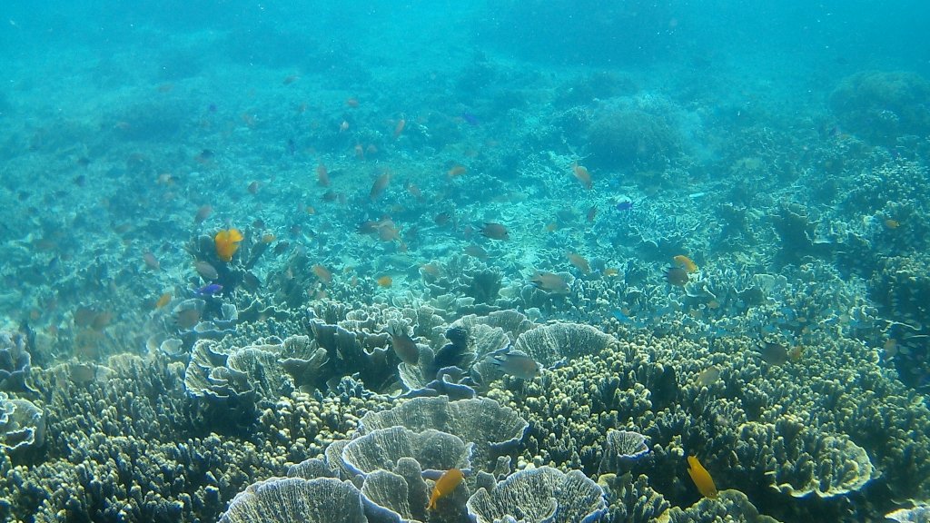 FHD0061.JPG