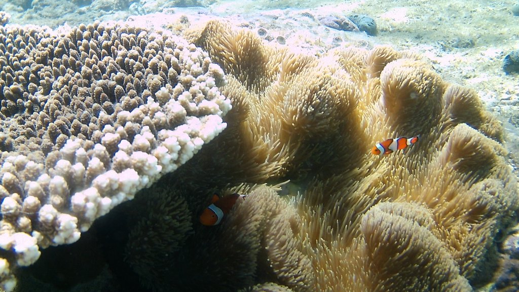 FHD0143.JPG