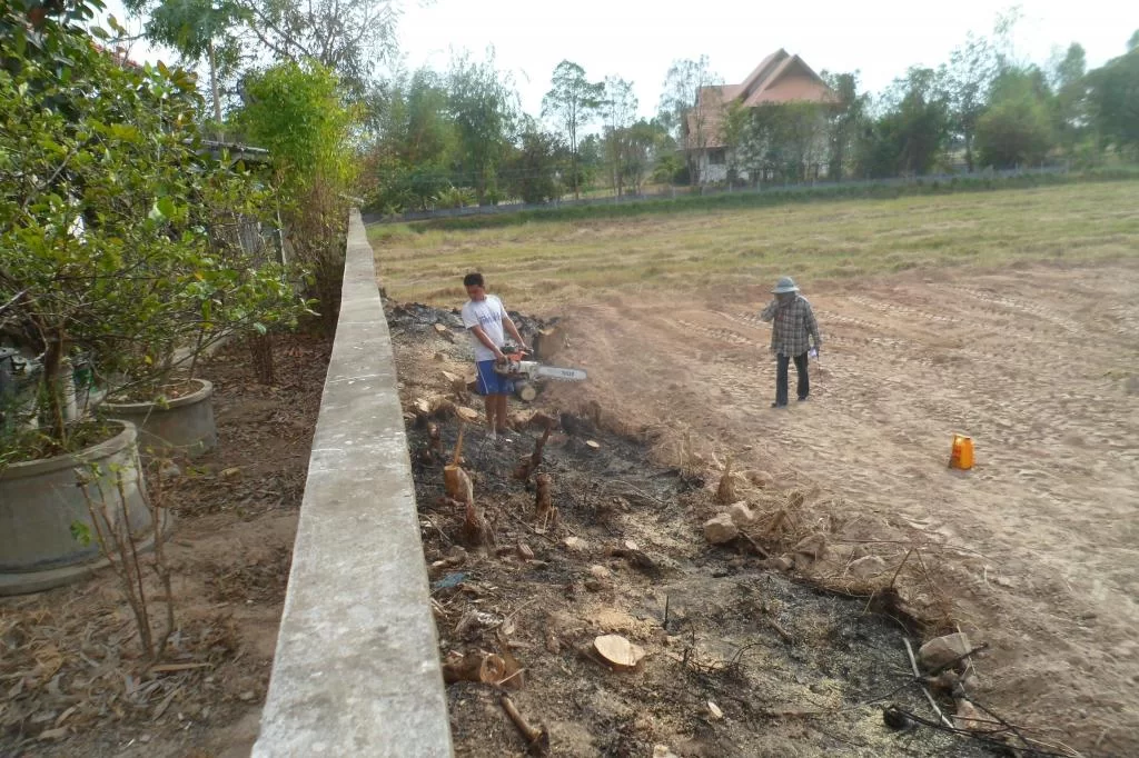 Filling, puppy 029.webp