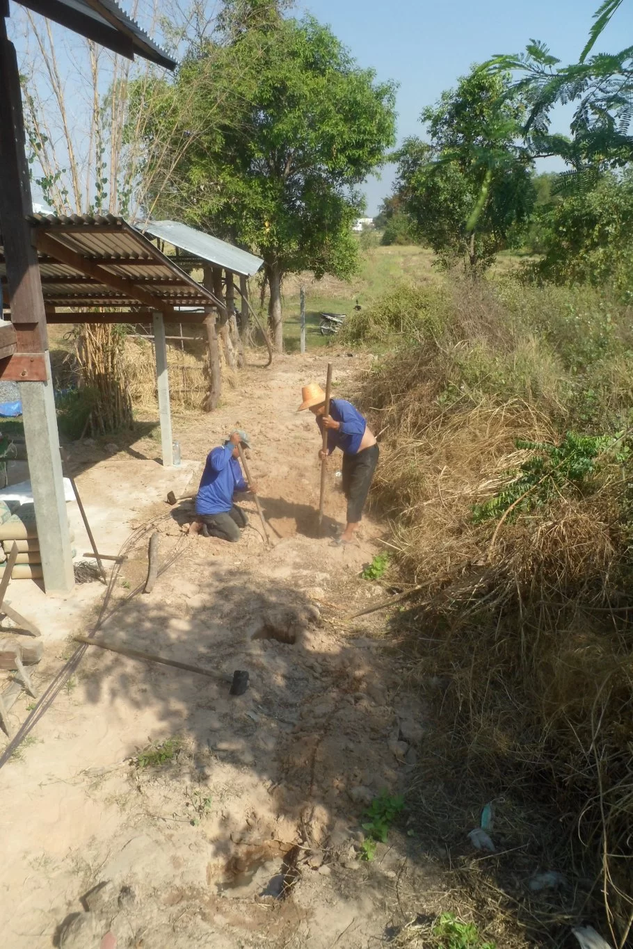 Fiolspelare 014.webp