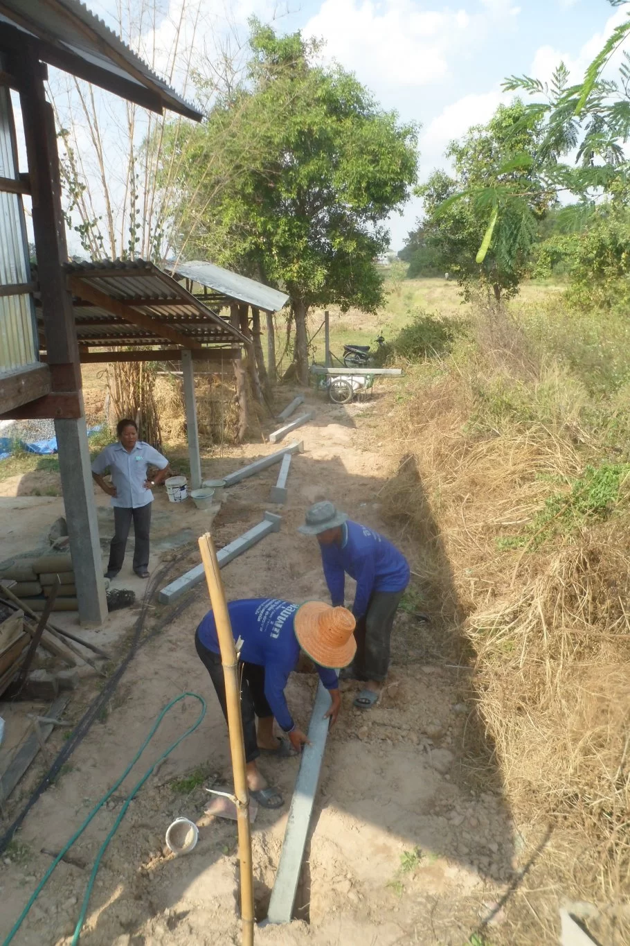 Fiolspelare 020.webp