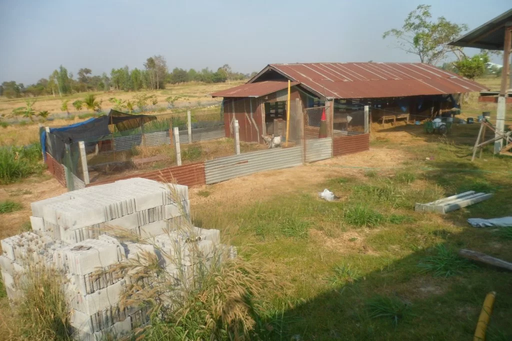 Fiolspelare 031.webp