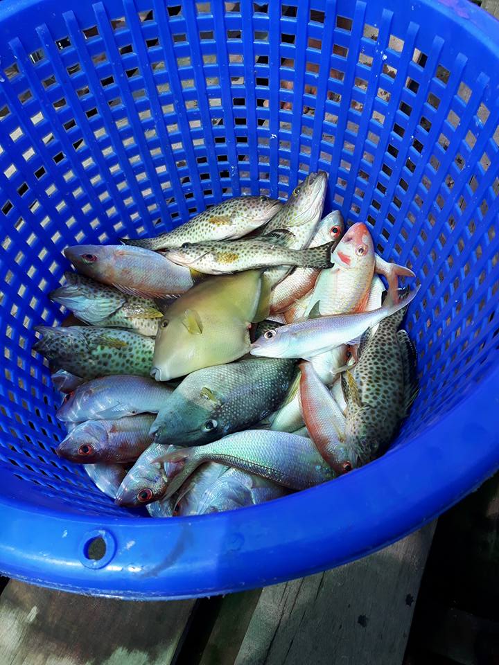 fisketur (2).jpg