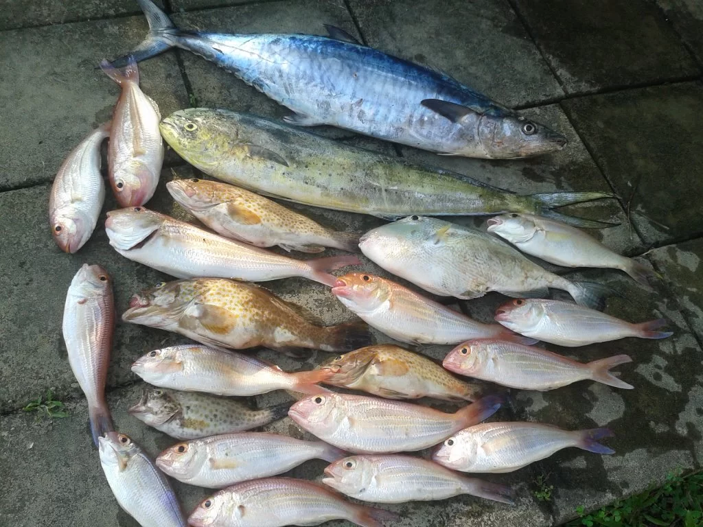 fisketur (23).webp