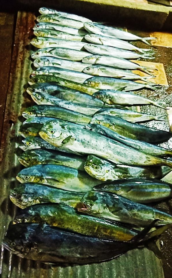 fisketur (7).jpg