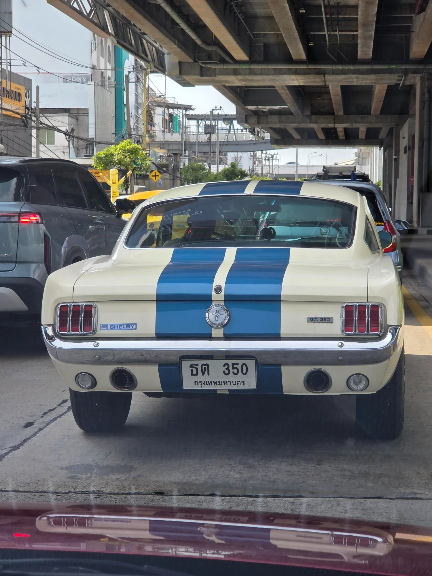 FM GT 350.webp