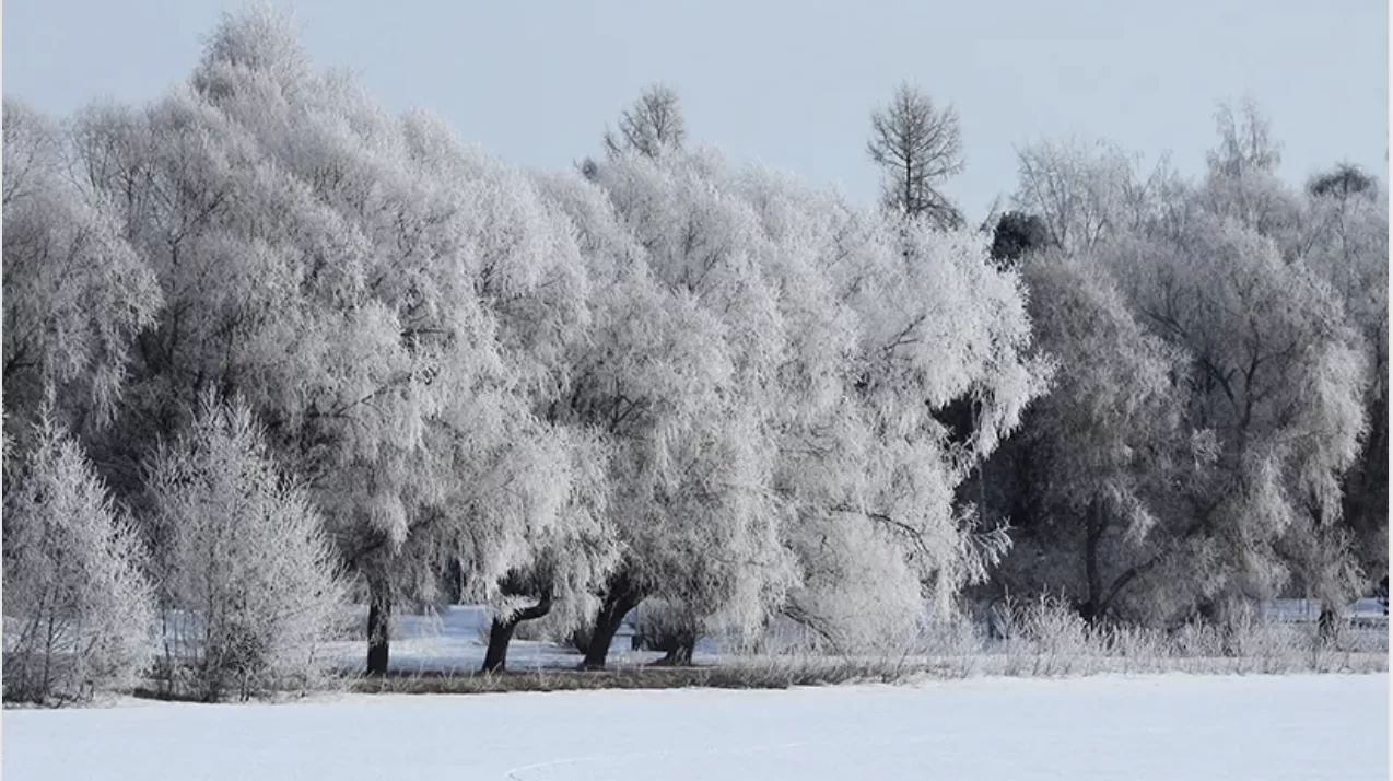 frost.webp