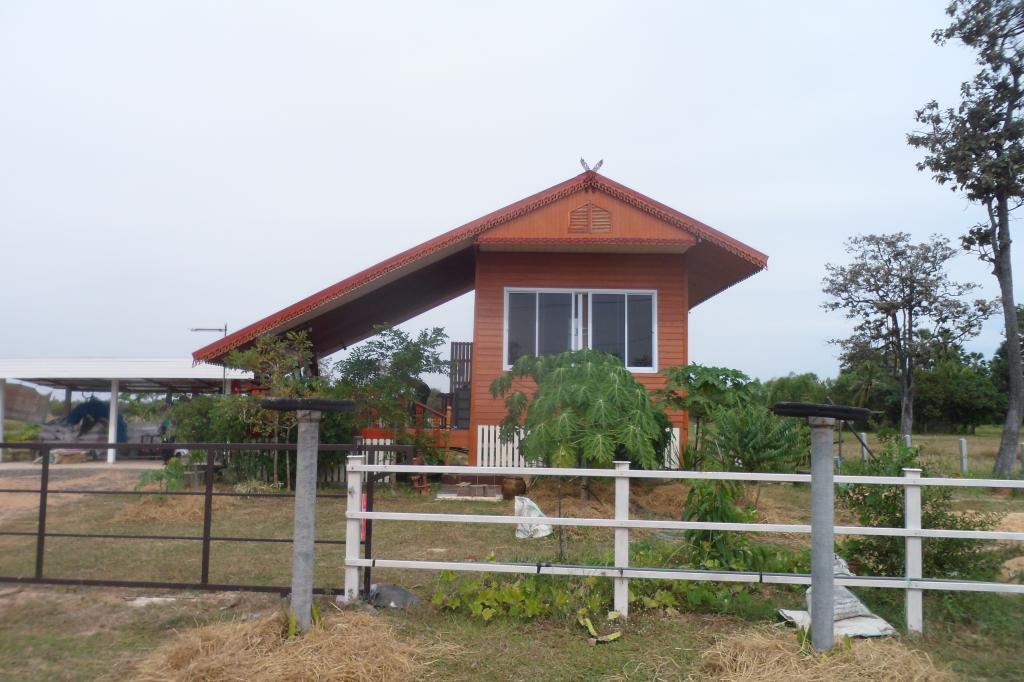 Garden 014.jpg