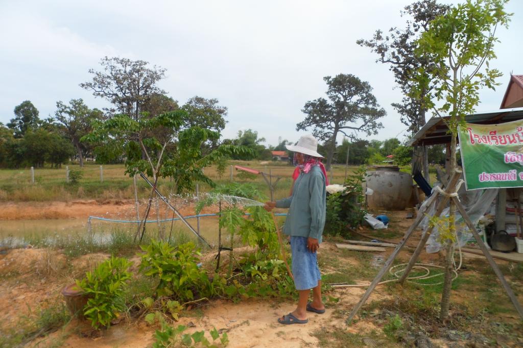 Garden 026.jpg
