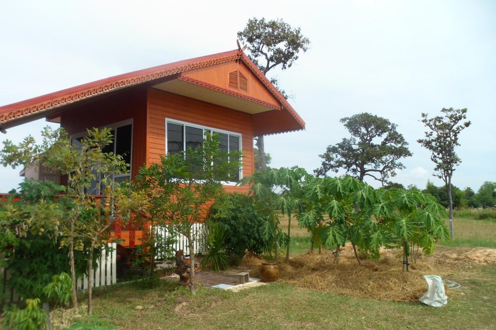 Garden 028.jpg