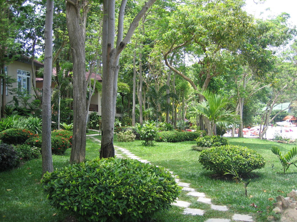 Garden.jpg