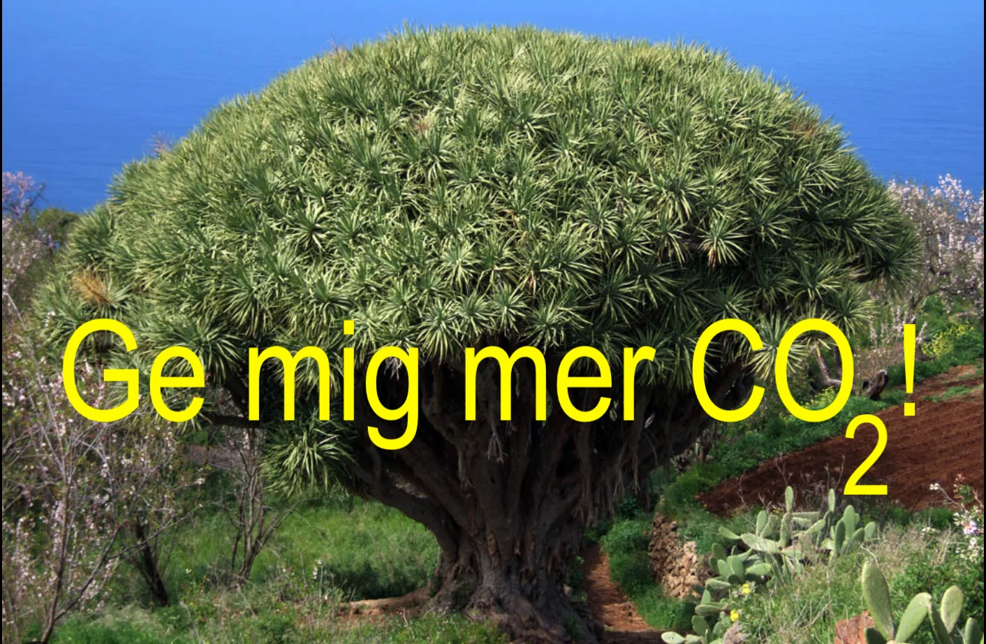 GE.webp