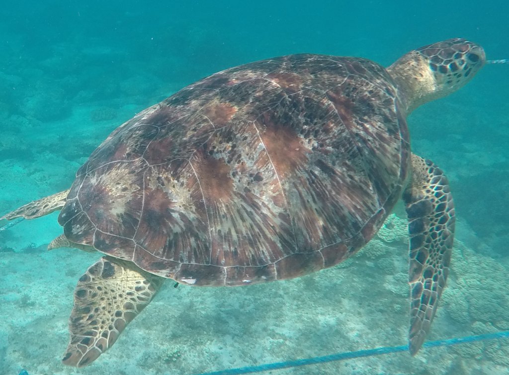 GOPR0837.JPG