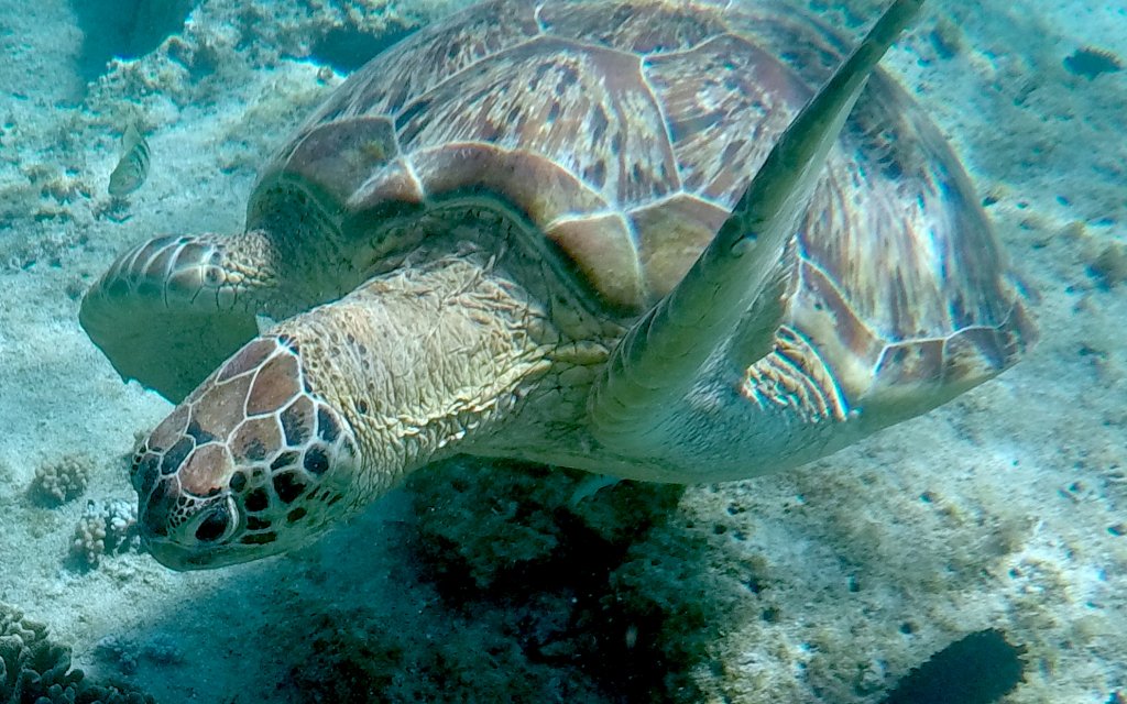 GOPR0847.JPG