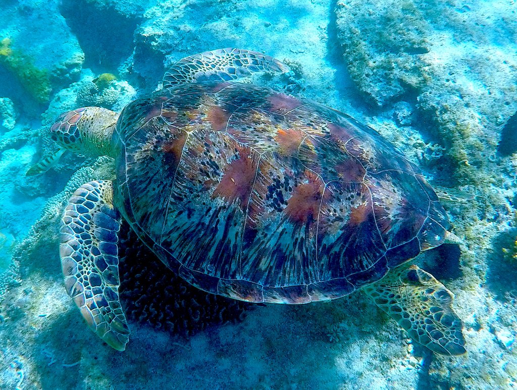 GOPR0849.JPG