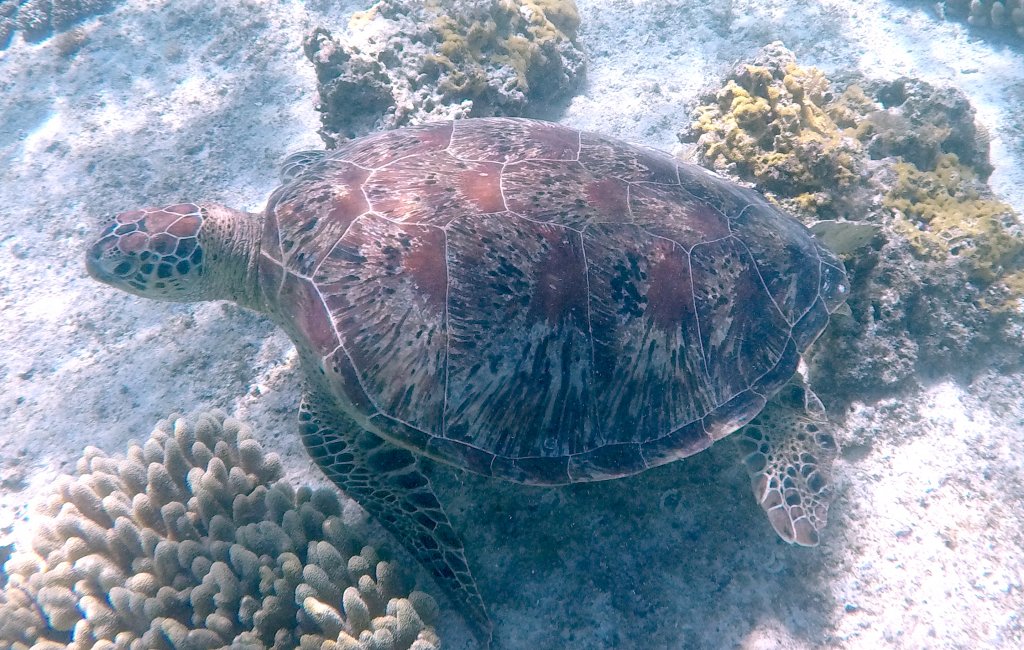 GOPR0855.JPG