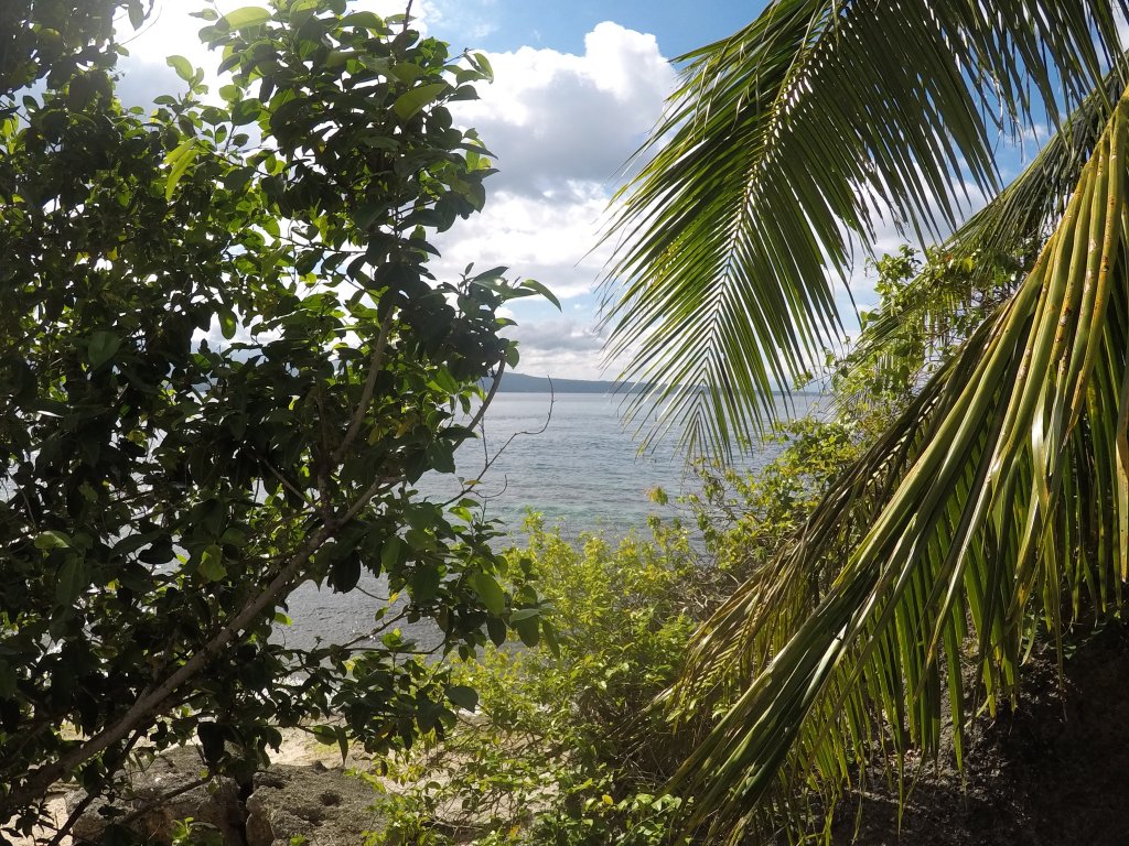 GOPR0915_1543463496844_high.JPG