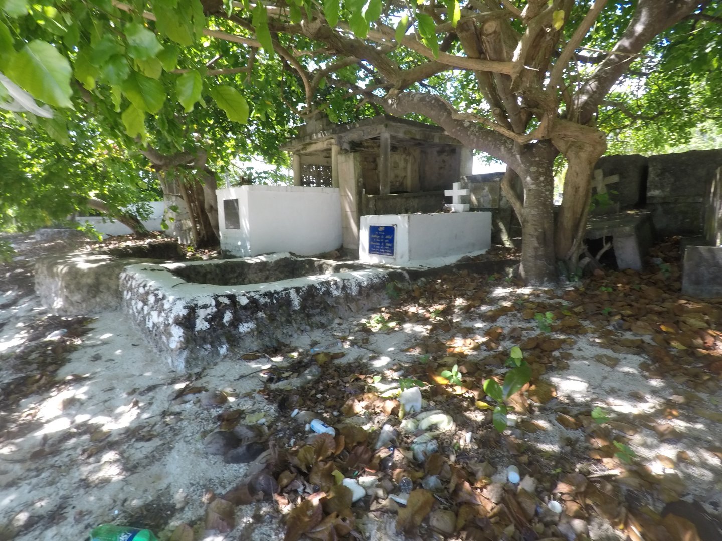 GOPR1831_1547616152961_high.JPG