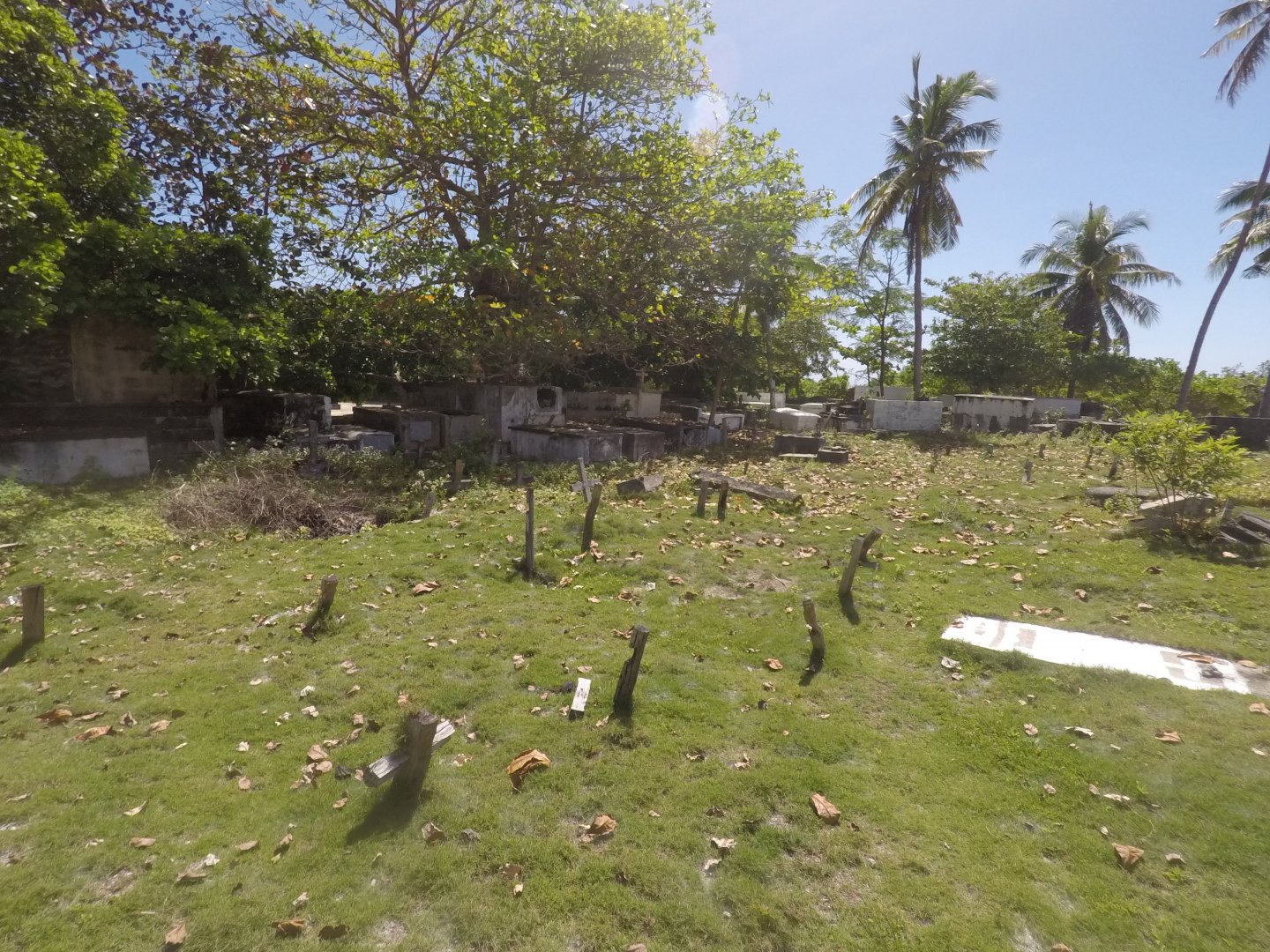 GOPR1837_1547616152961_high.JPG