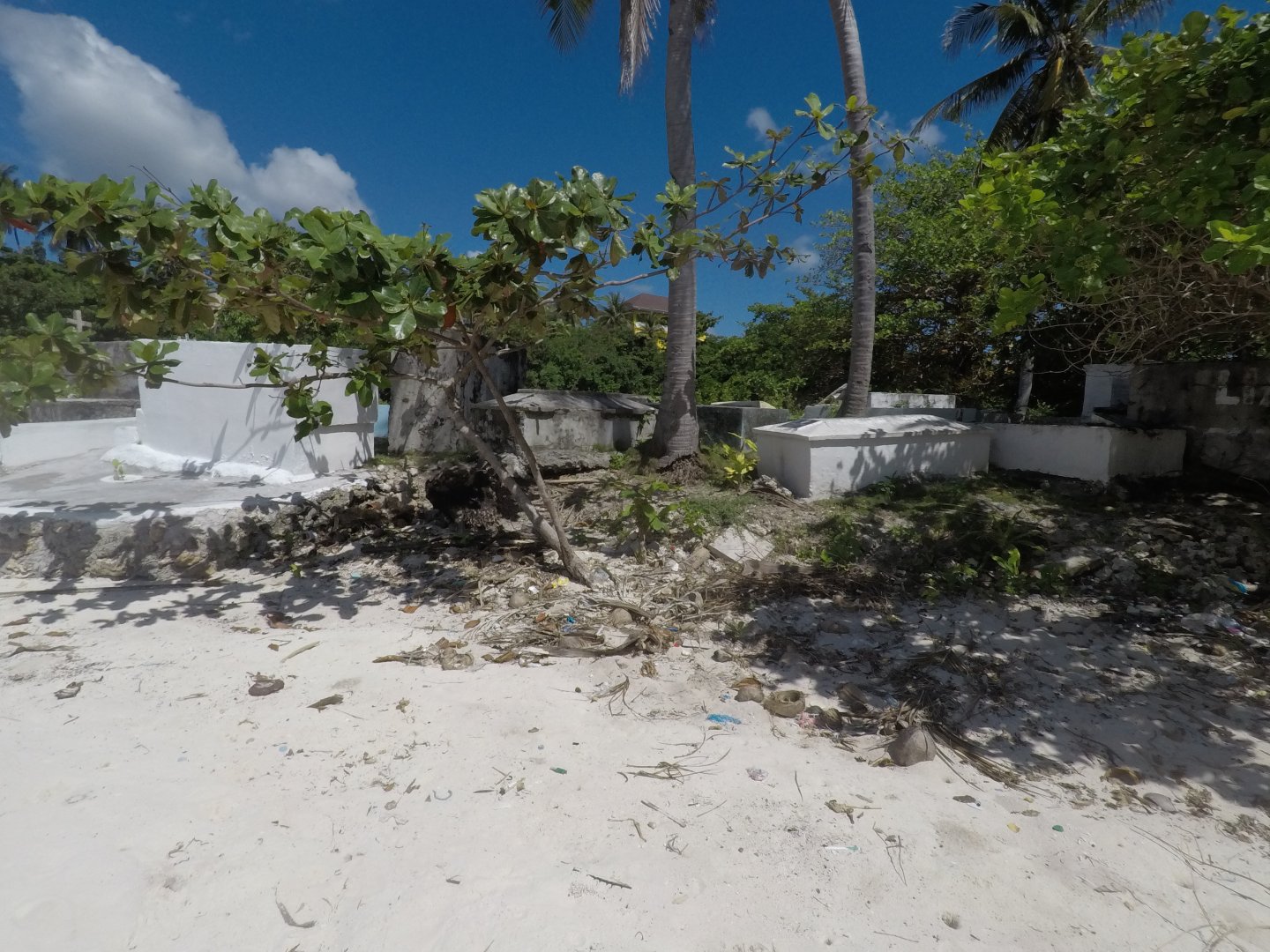 GOPR1844_1547616152961_high.JPG