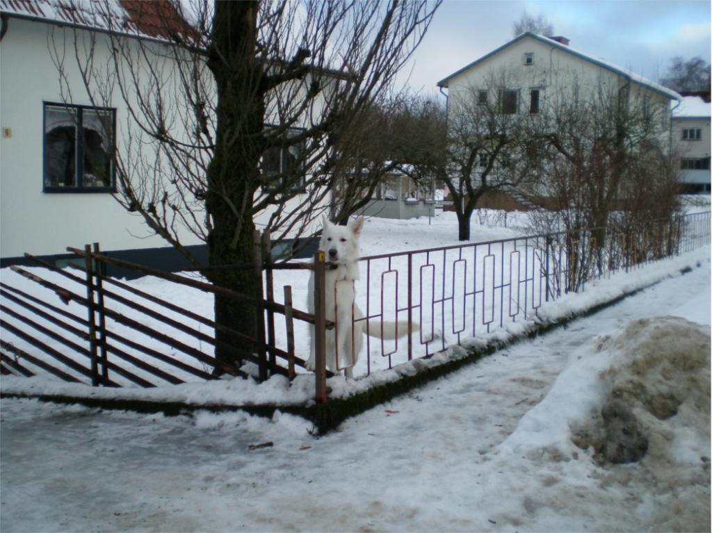hälsar faster välkommen.jpg