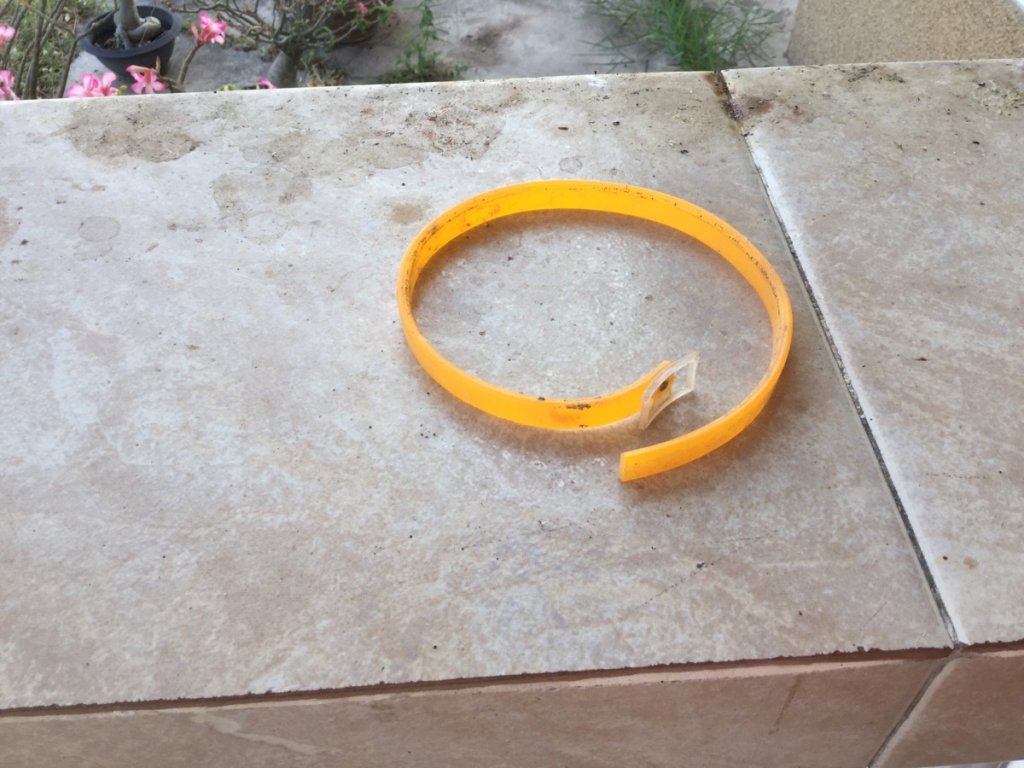 Halsband Tono +Rambo.jpg