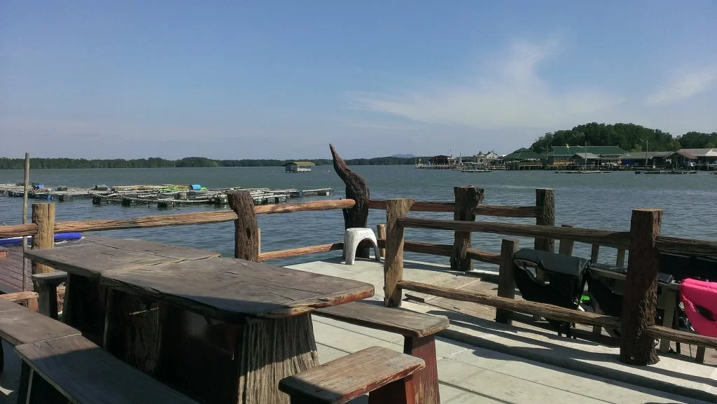 home (2).webp