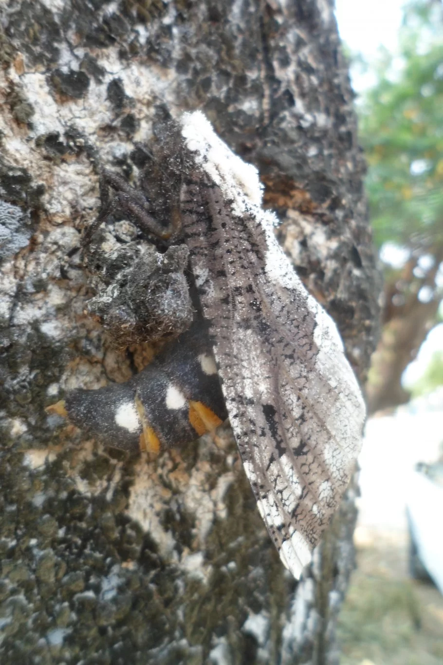 Husnedtagning 088.webp