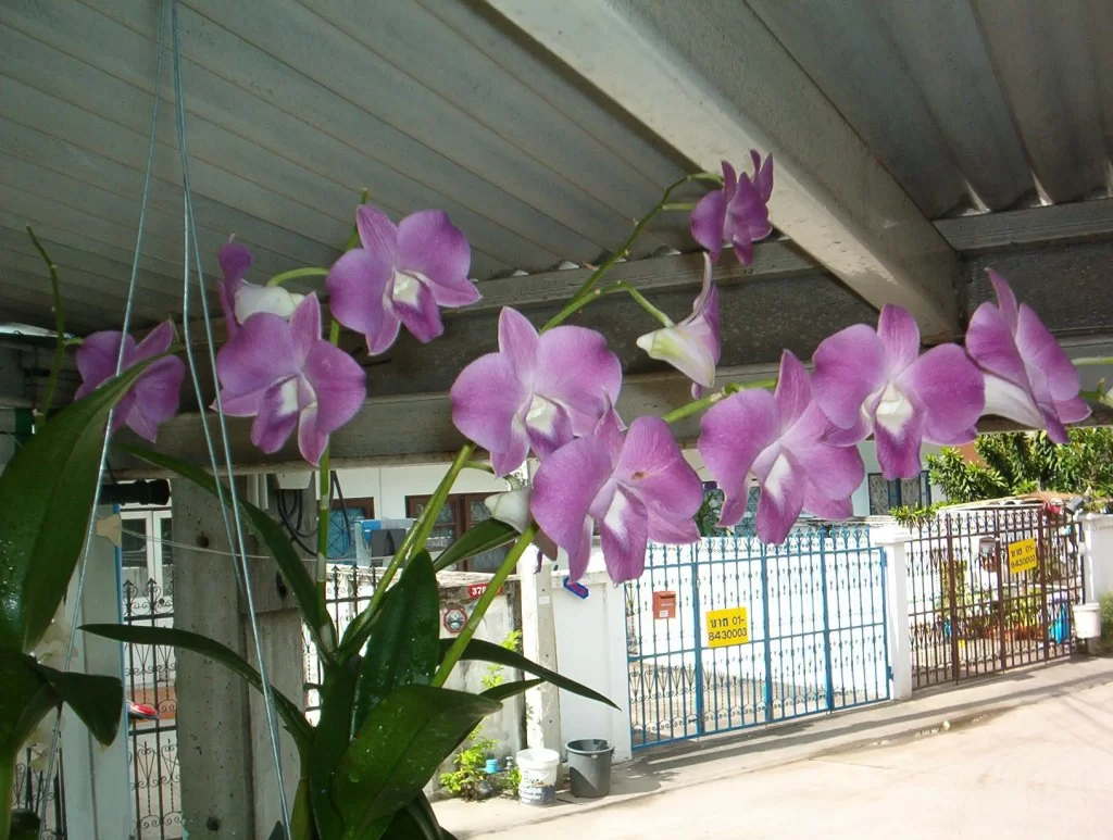 IM000149.webp