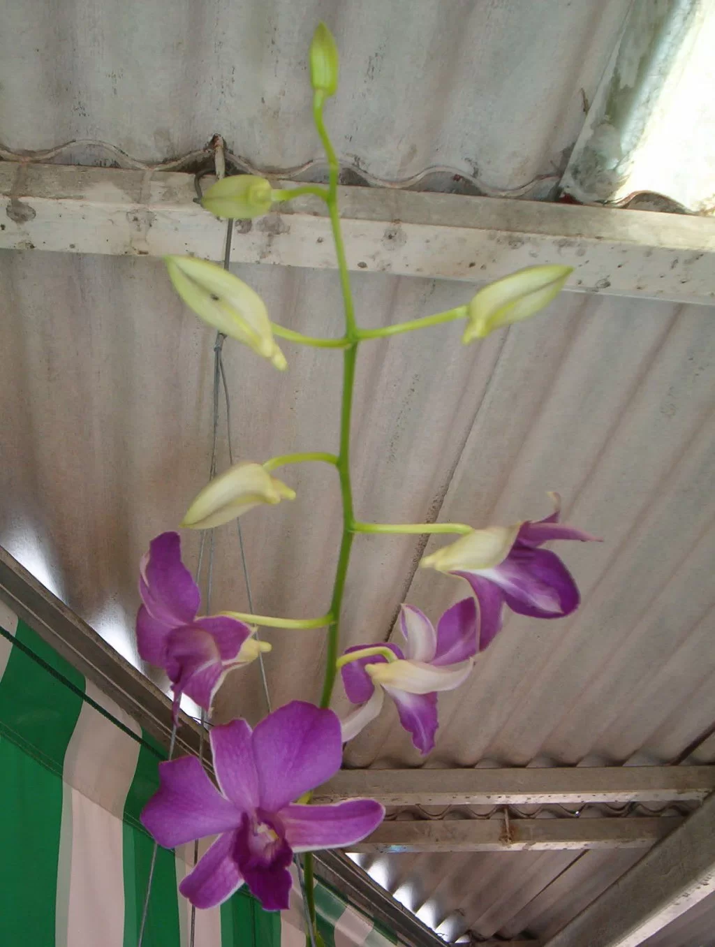 IM000152.webp