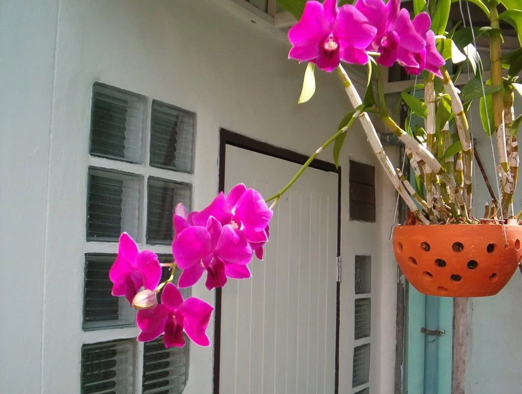 IM000153.webp
