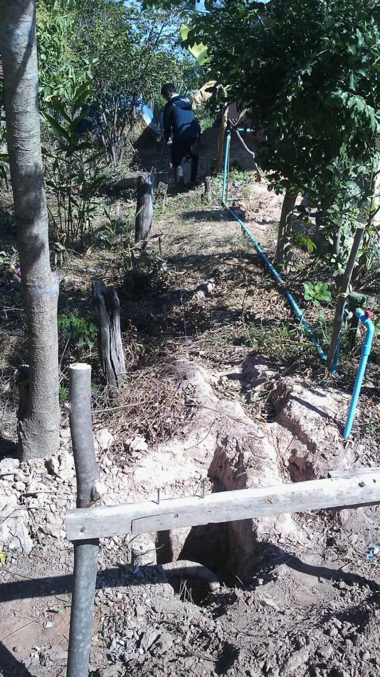 image-2.webp