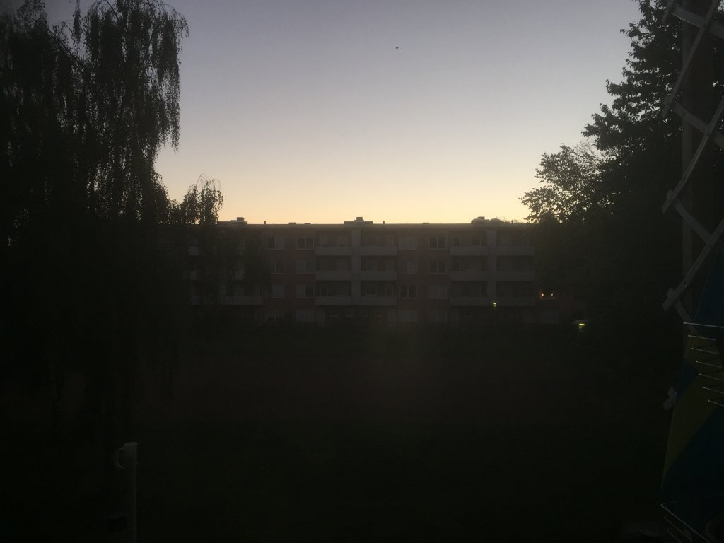 image.jpeg
