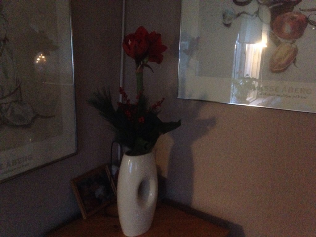 image.jpg