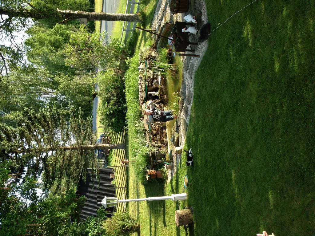 image.webp