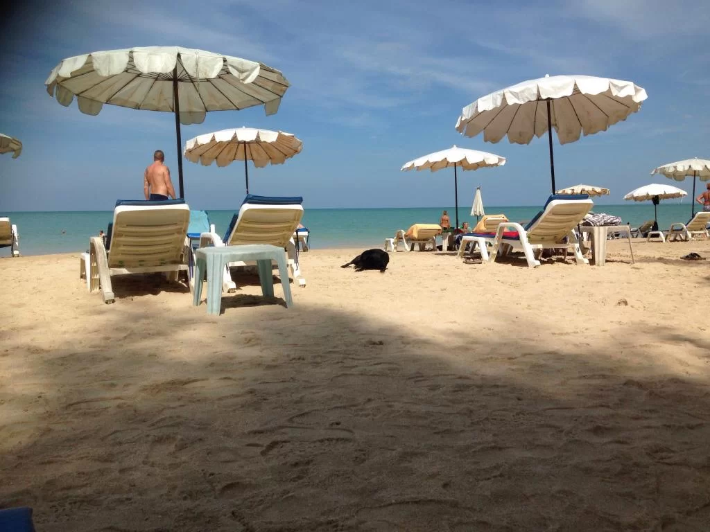 image.webp