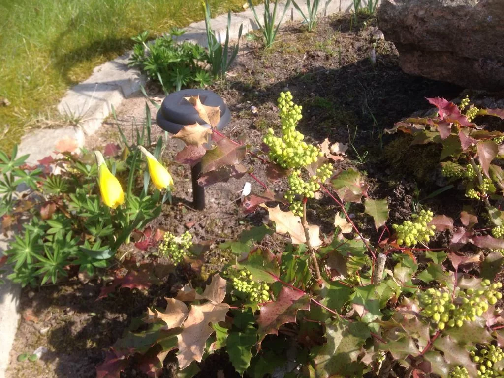 image.webp