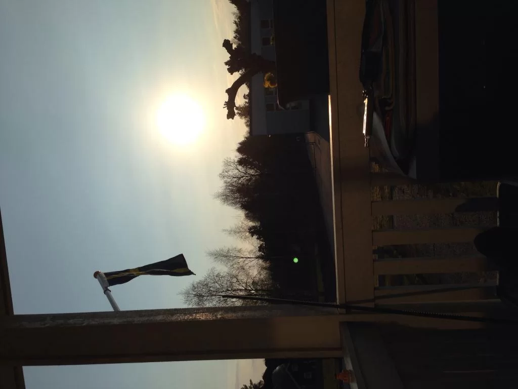 image.webp
