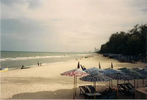 image.webp