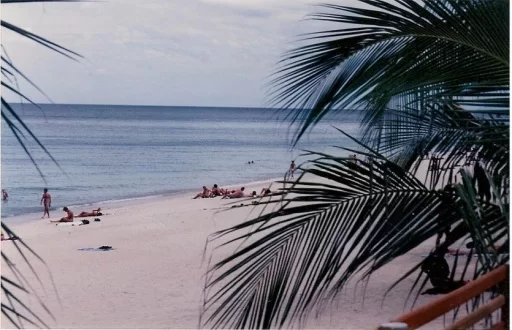 image.webp