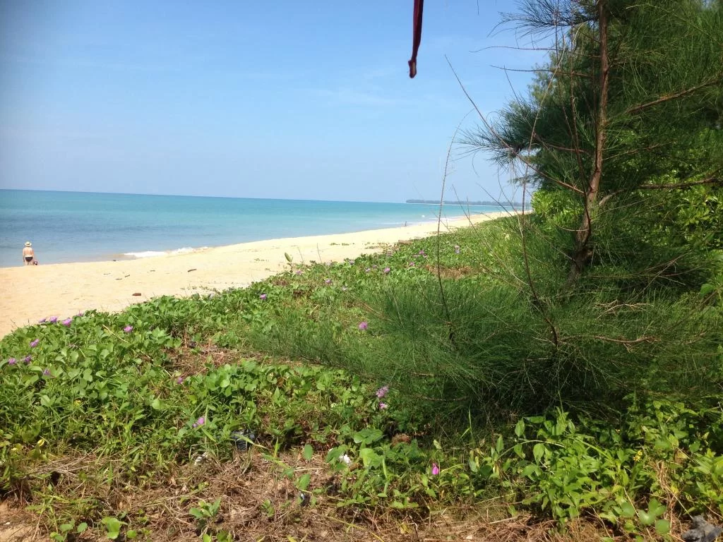 image.webp
