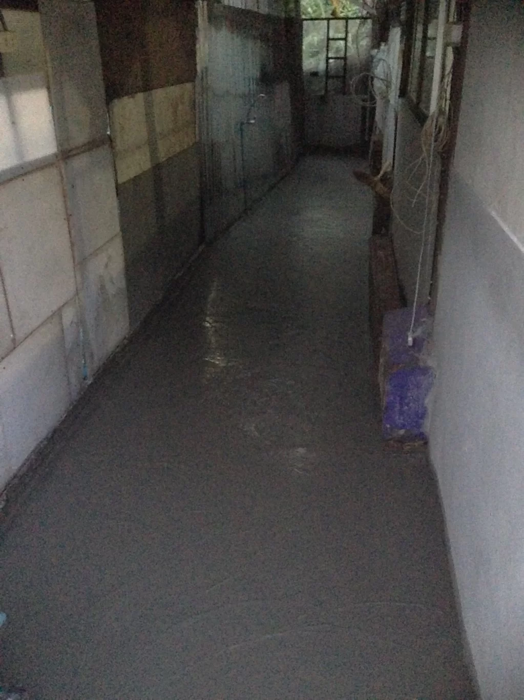 image.webp