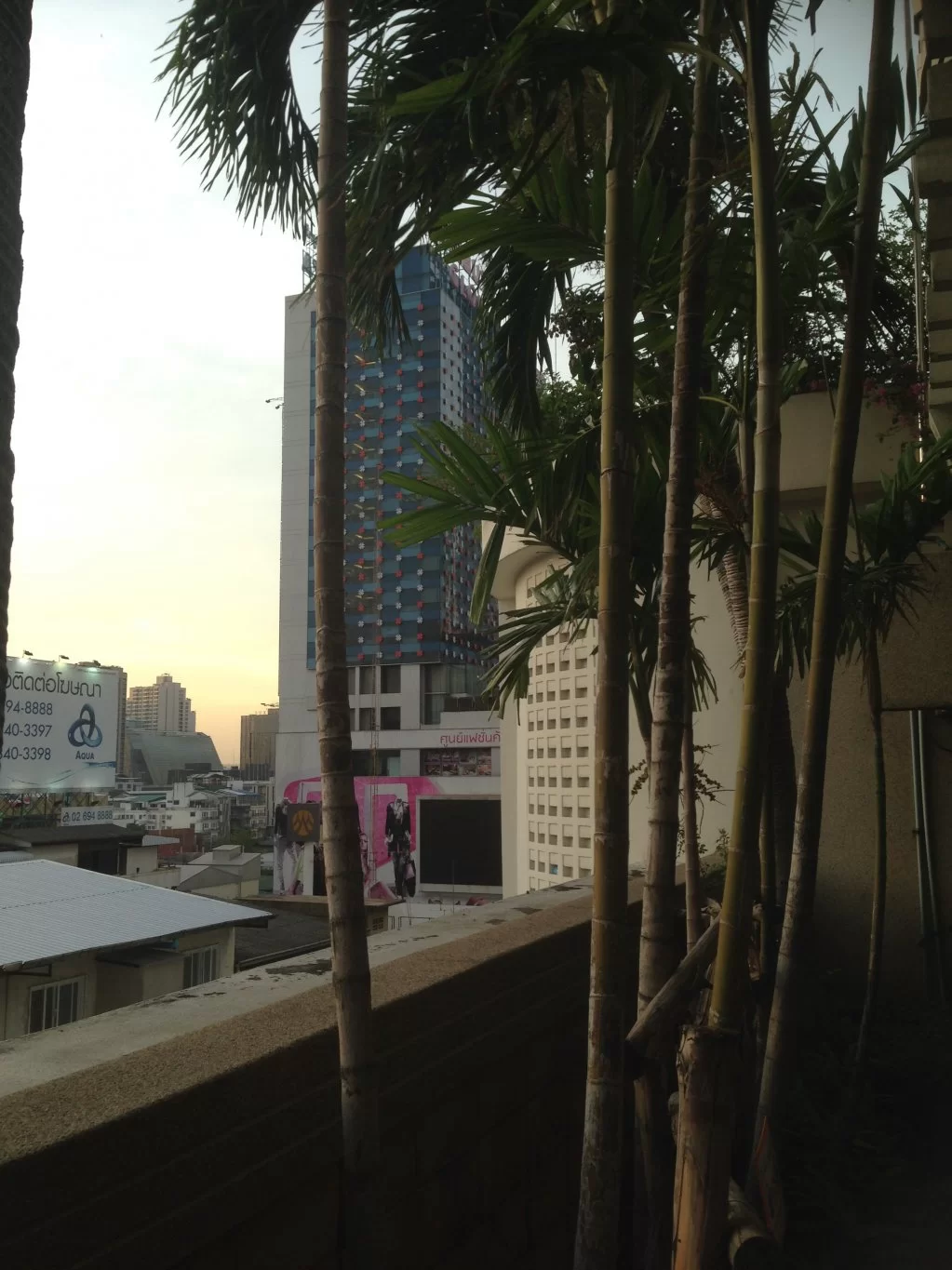 image.webp