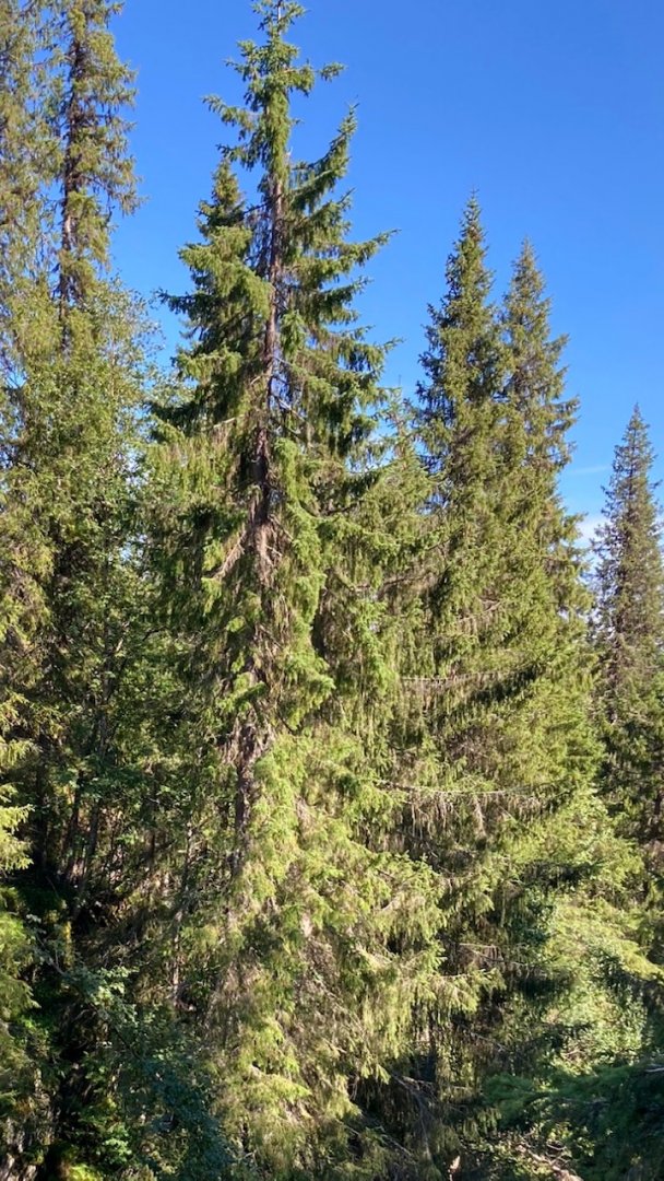 image6 (3).jpeg
