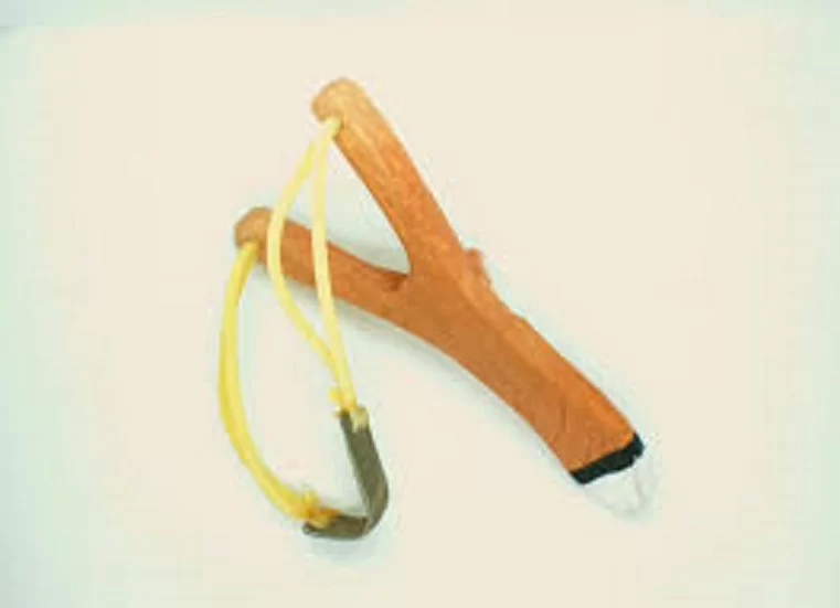 images (1).webp